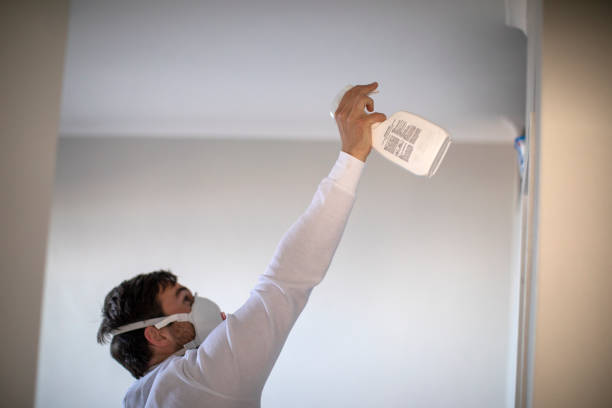 Best Post-Flood Mold Remediation in Fairland, OK
