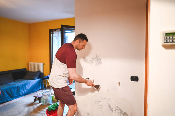 Best Emergency Mold Remediation in Fairland, OK