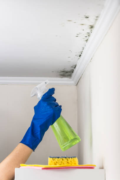 Best HVAC Mold Remediation in Fairland, OK